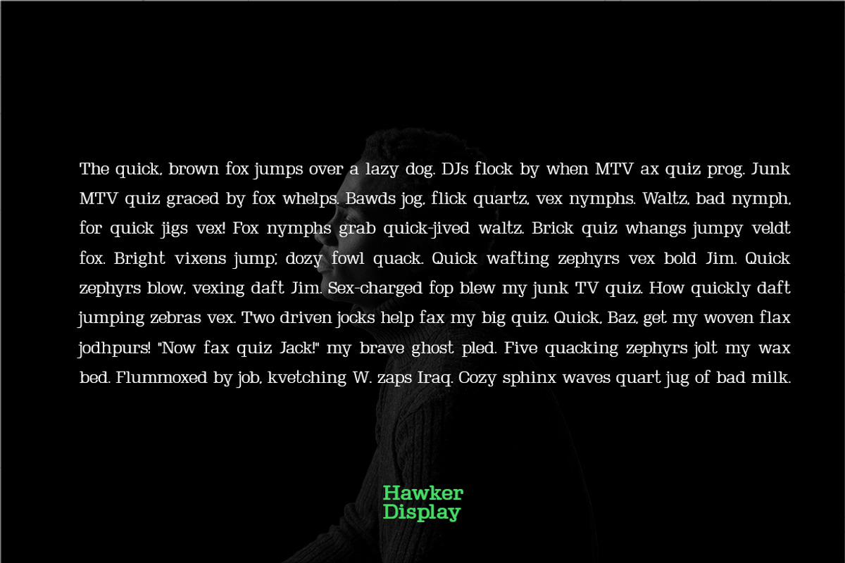 Hawker Serif - Modern Typeface + Web, a Serif Font by Webhance Studio (Photo 5 of 6)