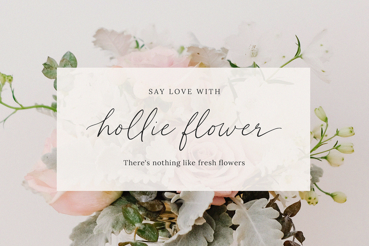 Miltona Elegant Script Font, a Script Font by Seagulls Creative (Photo 2 of 10)
