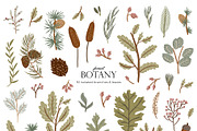 Forest Animals & Seasonal Botany, an Illustration by Ruslana Lubenets (Thumbnail 8 of 21)