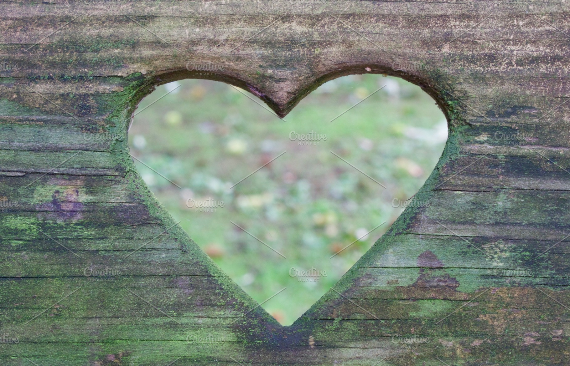 Rustic Valentine Heart, a Holiday Photo by Lindsay McGrath Photos