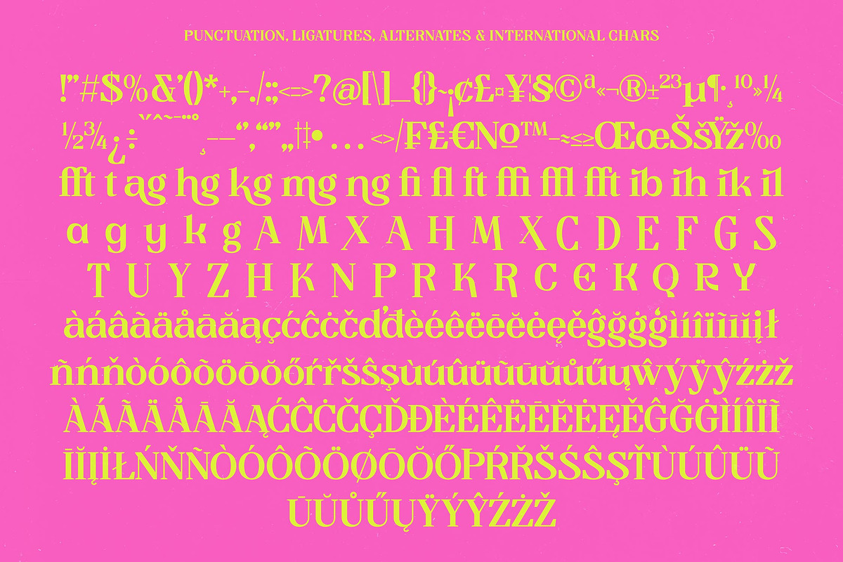 Beyond Musik Modern Display Serif, a Serif Font by timelesstype.co (Photo 17 of 20)