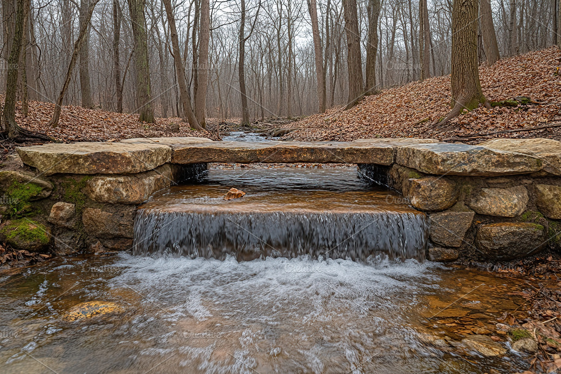 Autumn landscape with water stream in the forest, a Photo by AlyaAnd