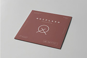 Vinyl Mock-up, a Product Mockup by zippypixelstudio (Thumbnail 5 of 9)
