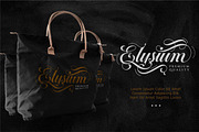 Ballegra Script Outline & Solid., a Script Font by typeline studio (Thumbnail 6 of 11)