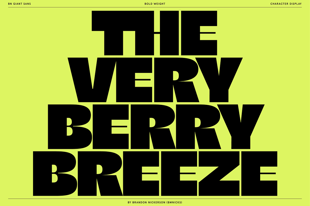 BN Giant, a Sans Serif Font by Bnick (Photo 15 of 19)