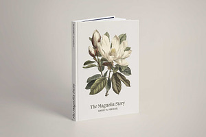 Magnolia - Botanical Illustrations