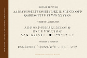More Aloof Typeface Font, a Serif Font by Creativeqube Design (Thumbnail 14 of 14)