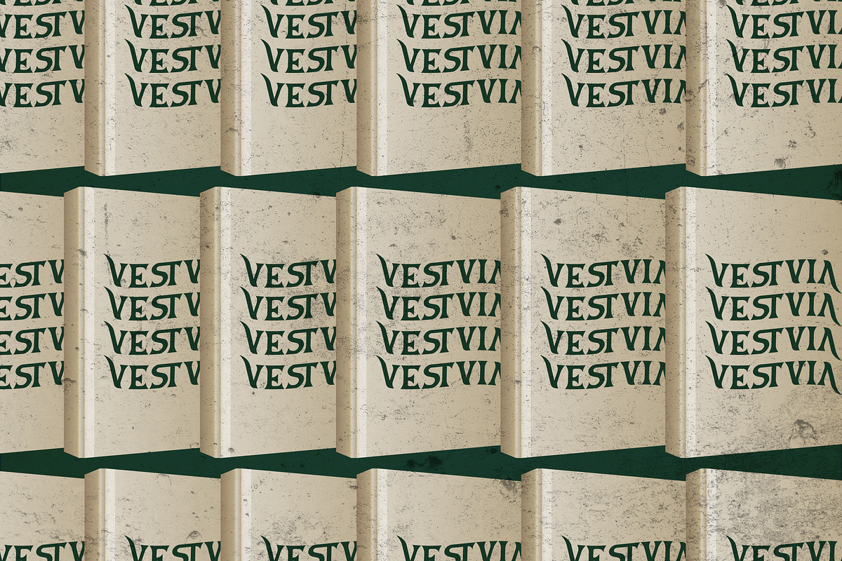 Vestovia Display Serif Font, a Sans Serif Font by Storytype Studio (Photo 2 of 15)