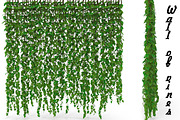 Wall of vines, an Environmental 3D Model by AndrewWhite (Thumbnail 1 of 5)