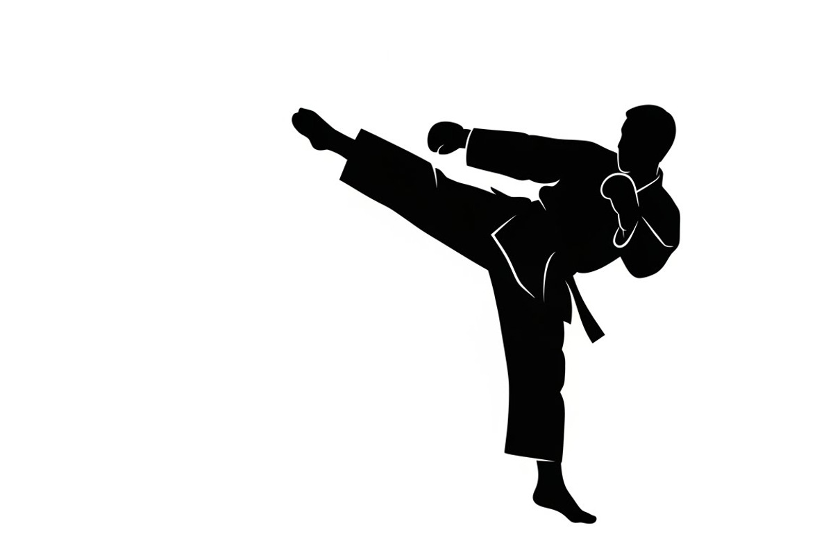 Dynamic martial arts kick silhouette, a Graphic by Amazin_art (Photo 17 of 36)