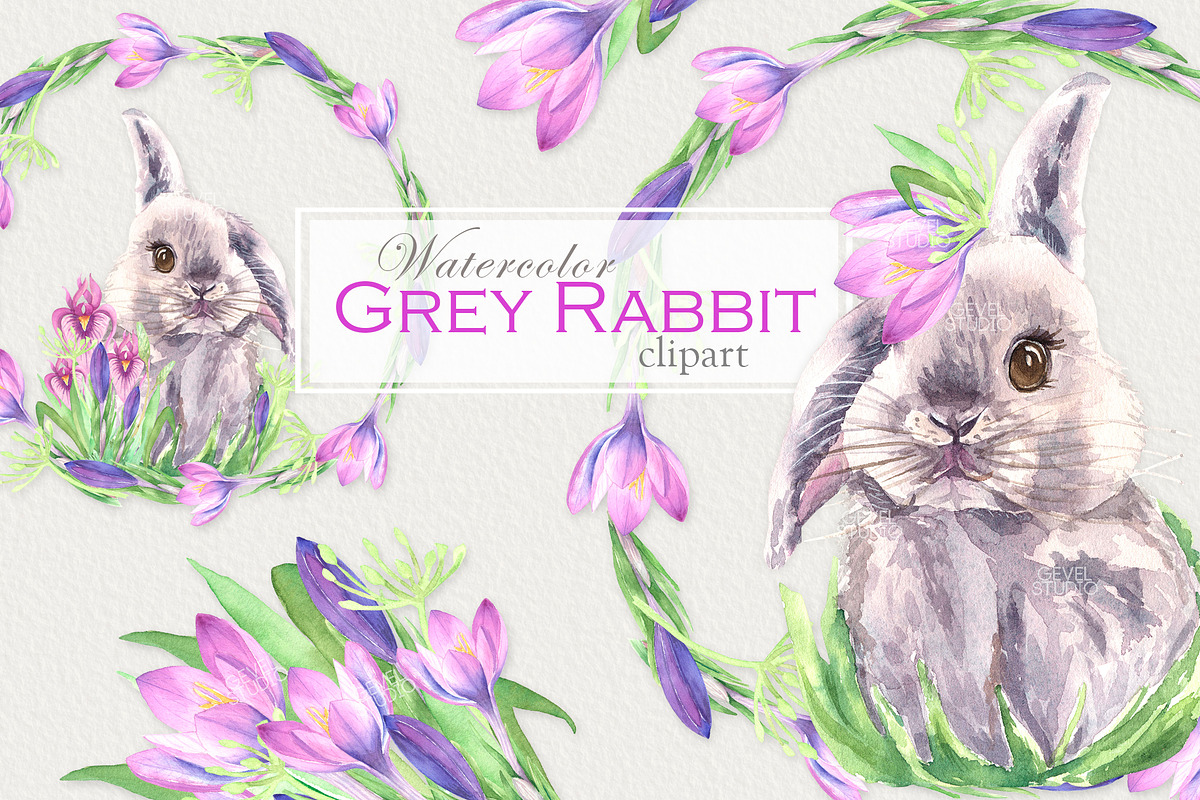 Watercolor Easter Bunny clipart, an Animal Illustration by GevelStudio (Photo 1 of 8)