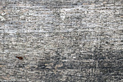 Natural wood texture patterns, a Background Photo by Schreibikus (Thumbnail 7 of 8)