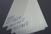 Irina Luxe Serif Font -30%, a Serif Font by VP Fonts (Thumbnail 4 of 9)
