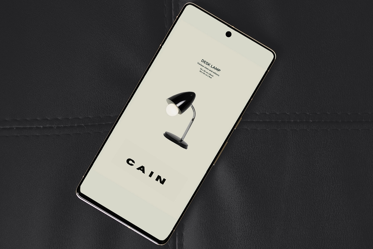 CAIN FONT - MODERNDISPLAY SAN SERIF, a Sans Serif Font by BURSTYPE (Photo 6 of 9)