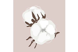 Dried cotton fluffy flower in, an Object Illustration by Toltemara