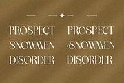 Brivonne Royale, a Serif Font by zaaintype (Thumbnail 4 of 12)