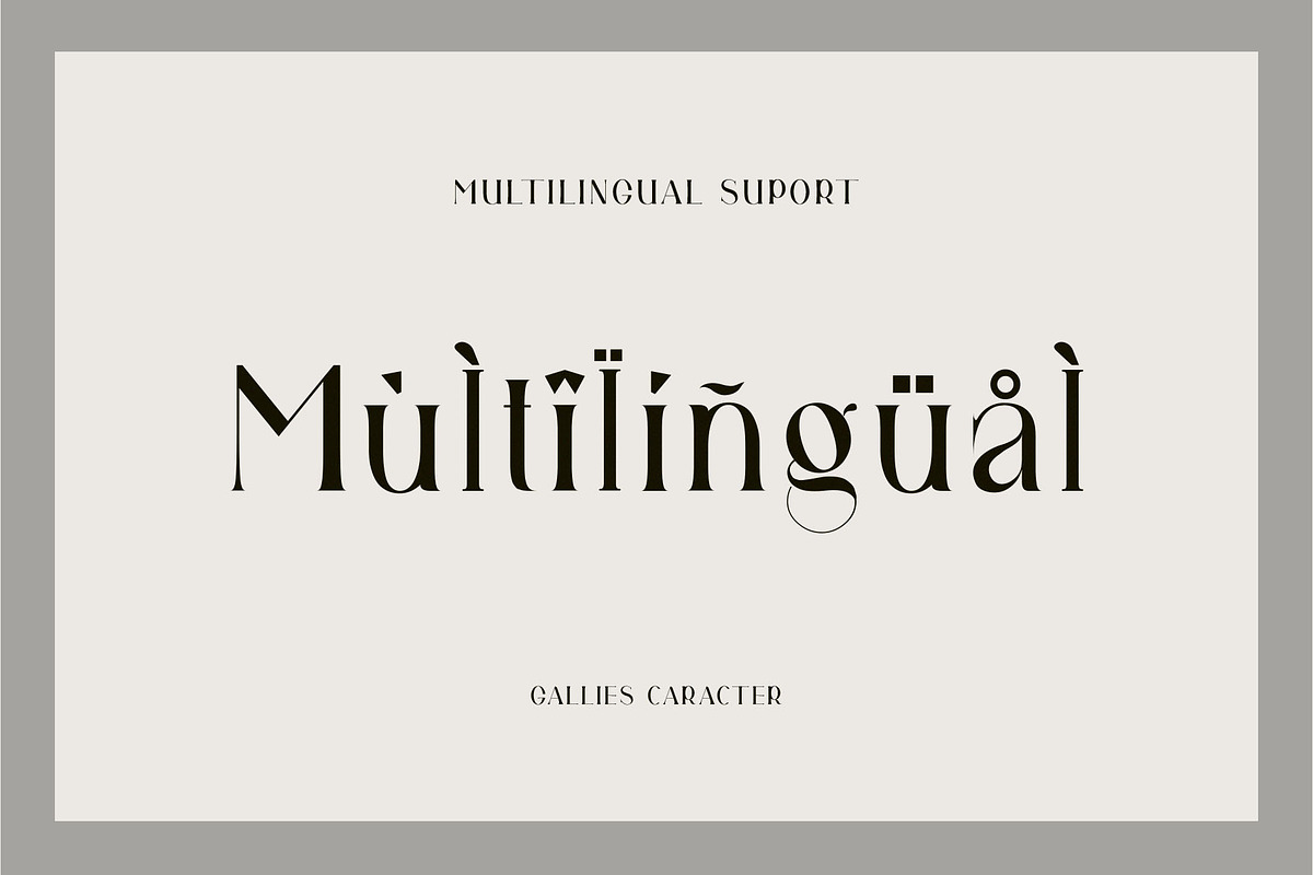 Gallies Ligature Serif Typeface, a Serif Font by Humaira_std (Photo 8 of 9)
