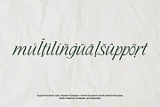 Cedar & Ink Typeface, a Serif Font by aquene (Thumbnail 9 of 16)