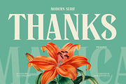 Manica Modern Editorial Serif, a Serif Font by timelesstype.co (Thumbnail 20 of 20)