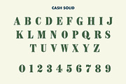 CASH, a Serif Font by Loudoun Design Co. (Thumbnail 5 of 7)