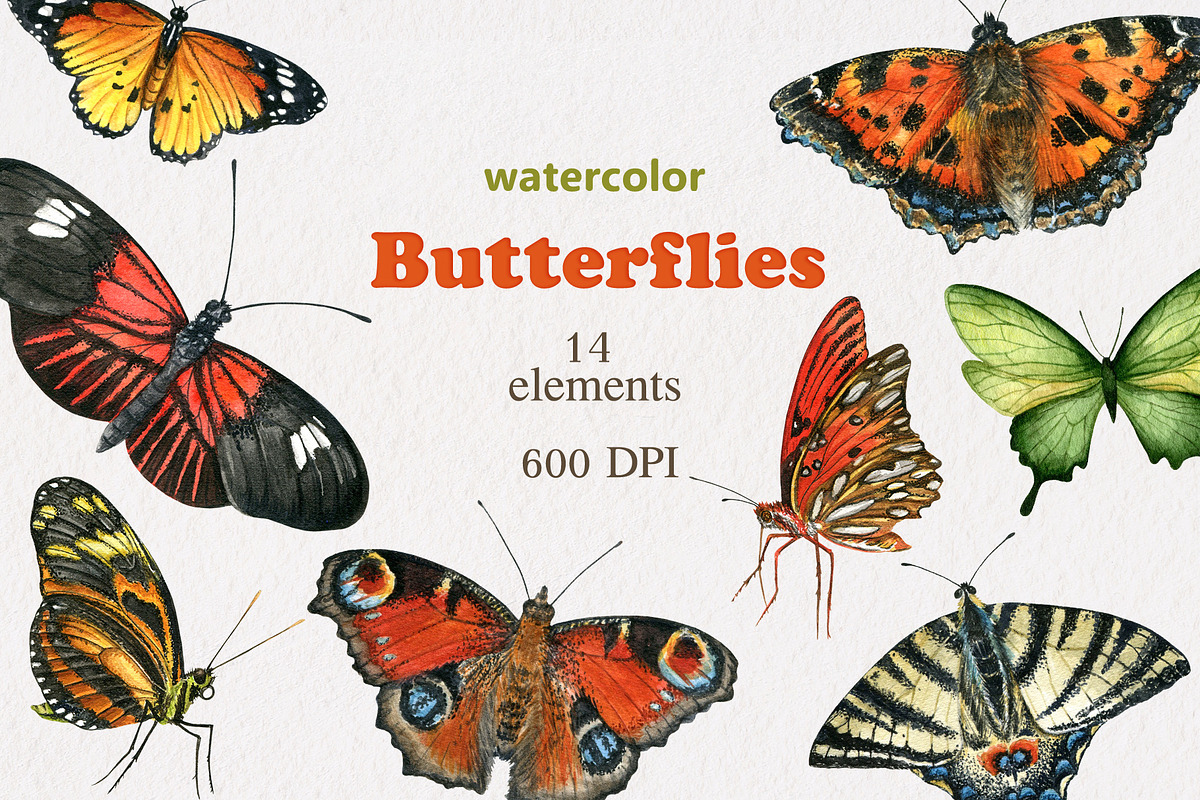 Butterfly watercolor set, an Illustration by Nastilustra (Photo 1 of 3)