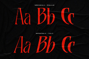 MNRagnala, a Serif Font by Mantra Naga (Thumbnail 15 of 16)