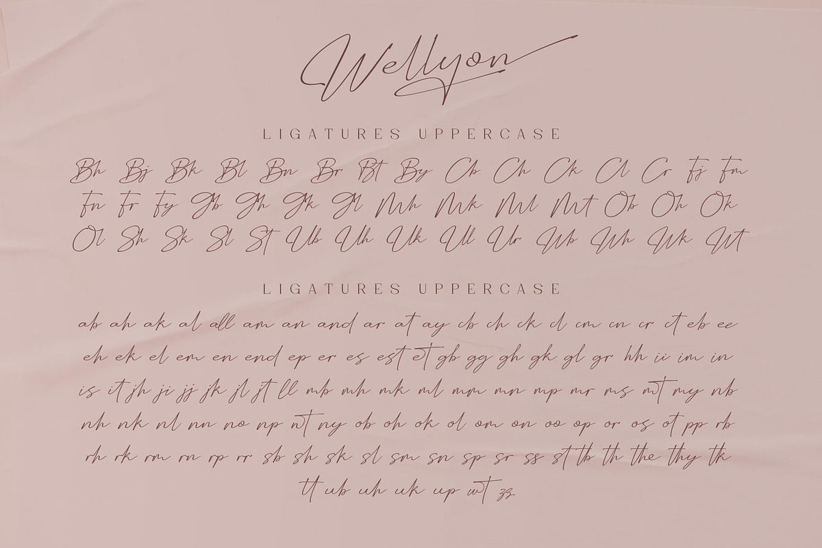 Wellyon Script signature, a Script Font by alit design (Photo 9 of 15)