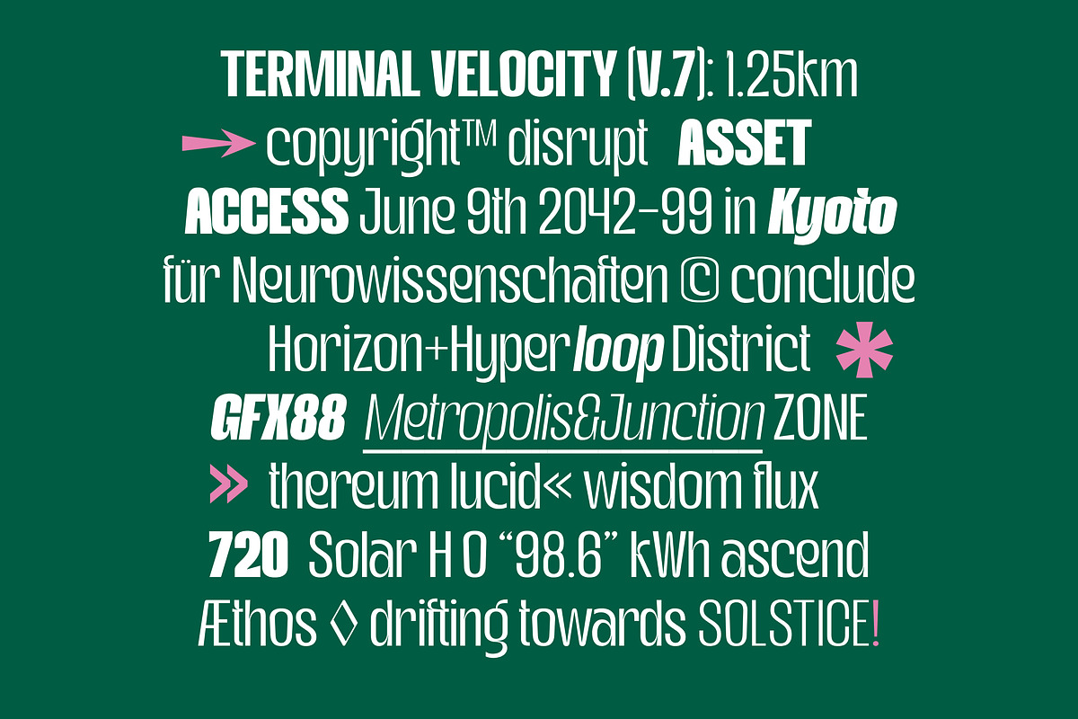 Gotkin Variable Sans Serif, a Sans Serif Font by Megatype (Photo 15 of 15)