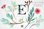 Eucalyptus Watercolor Greenery, a Healthcare Illustration by LABFcreations (Thumbnail 9 of 11)