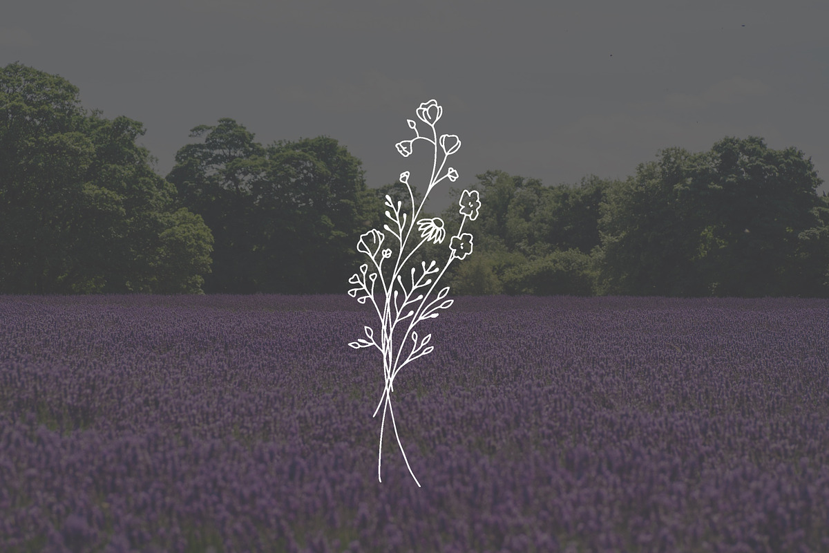 PNG + JPEG 6 Hand Drawn Wildflowers, an Illustration by Bilbie Artwork (Photo 2 of 7)
