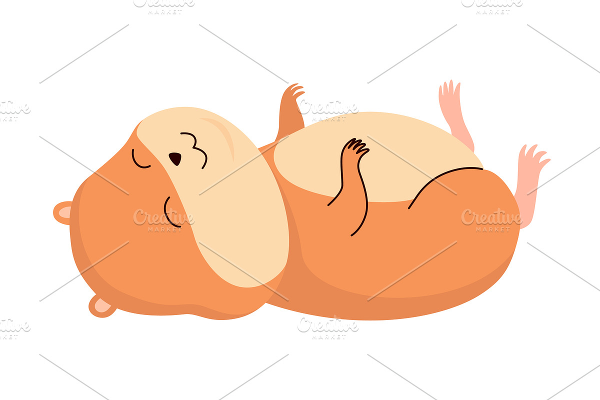 Cartoon hamster. Fluffy domestic pet, an Animal Illustration by the8monkey