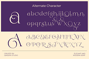 Annagia - Modern Elegant Luxury, a Serif Font by Qweera Studio (Thumbnail 10 of 12)