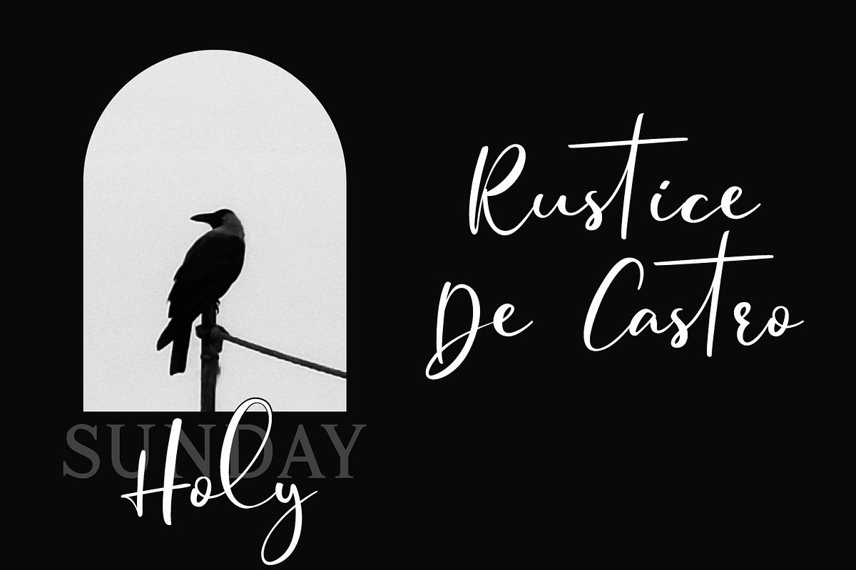 Fansthome | Signature effect, a Script Font by Qaratype (Photo 5 of 22)