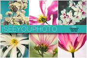 iseeyouflower FLORAL photoset, a Templates & Theme by ISEEYOUPATTERN (Thumbnail 1 of 5)