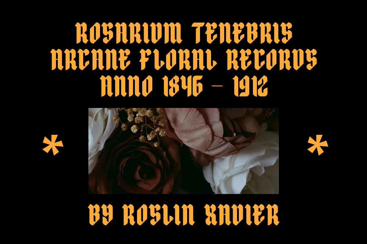 Dravex - Sign Modern Blackletter, a Blackletter Font by roomspace creative lab (Photo 8 of 10)