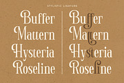 Manierlich – Elegant Serif Display, a Serif Font by Letterhend Studio (Thumbnail 10 of 10)