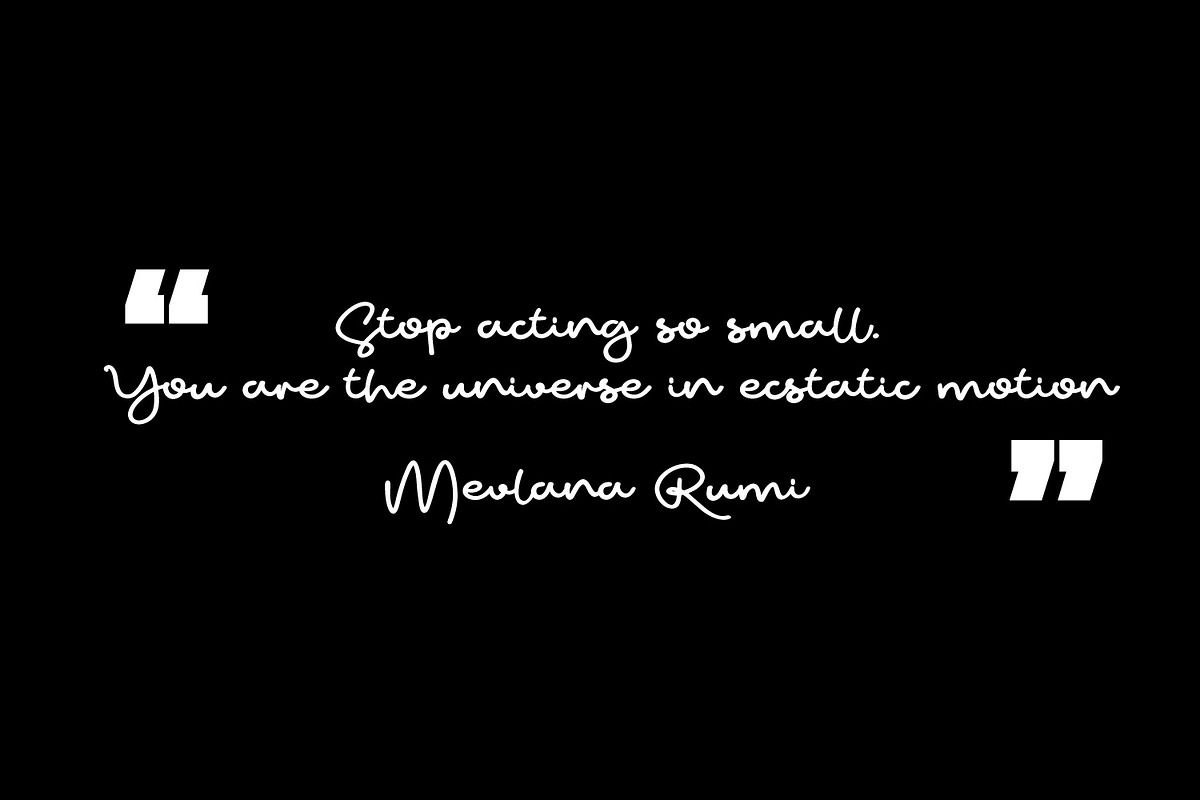 Pureline - Moniine Script, a Script Font by Cititype (Photo 8 of 11)