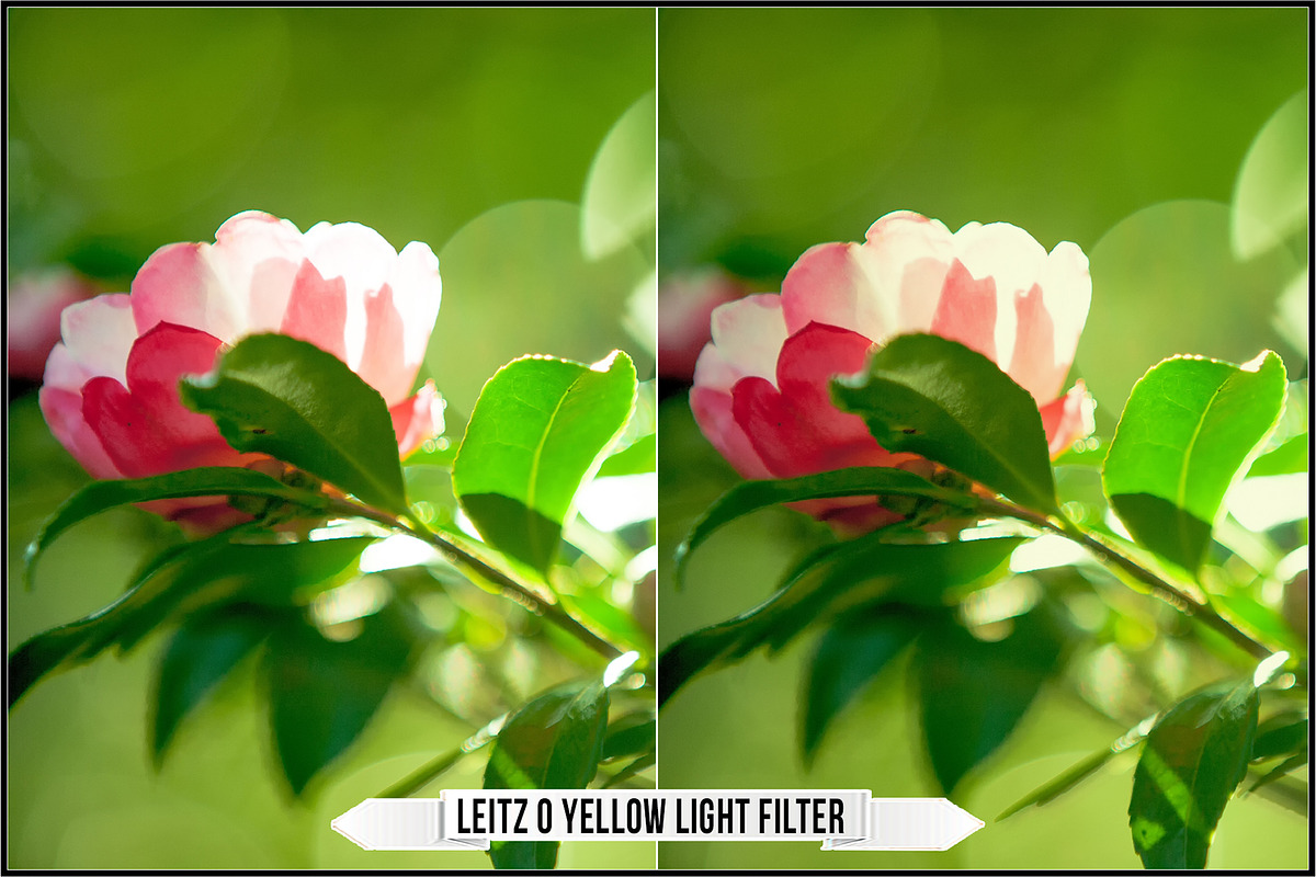Leica Leitz Filters, a Plug-in Add-On by Raztrend (Photo 13 of 30)