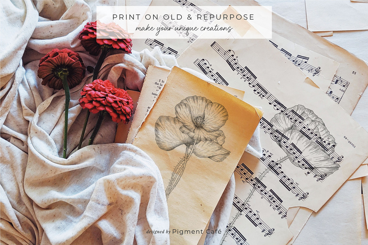Sketch Pencil Poppy Flowers, an Illustration by Pigment Café (Photo 5 of 8)
