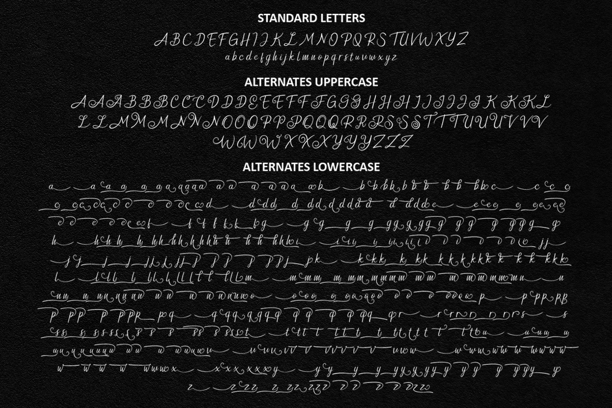 New Florence - Modern Classic Font, a Script Font by HIRO.std (Photo 13 of 15)