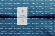 BIRULAOT TYPEFACE, a Serif Font by BLVSUPPLY (Thumbnail 7 of 7)