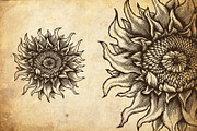 Codex Fortius Infinitum Engraving, an Illustration by TSV Creative (Thumbnail 4 of 5)