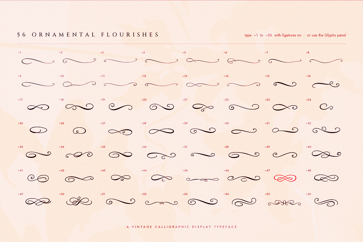 Stradivelle - Script Font, a Script Font by Lilithcollageart (Photo 6 of 10)