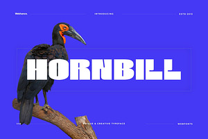 Hornbill - Modern Display Font