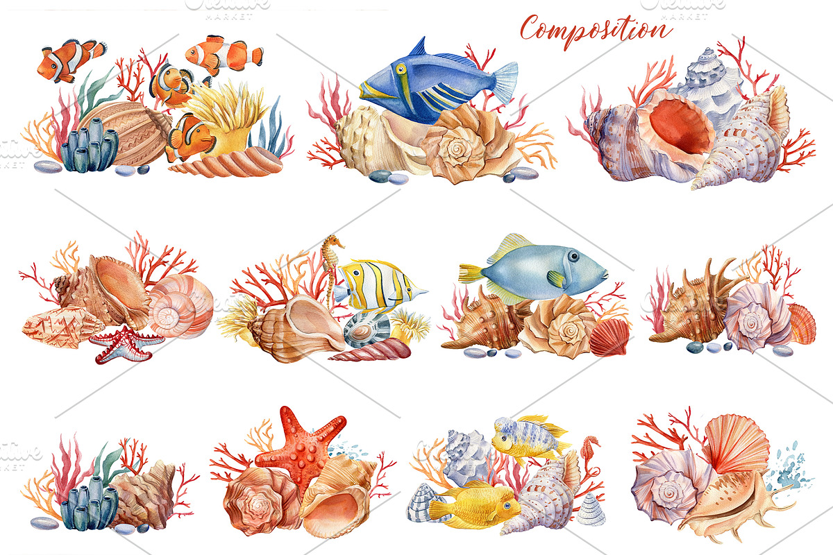 Seashells and fish, watercolor, an Animal Illustration by Hanna Hryharenka (Photo 3 of 20)