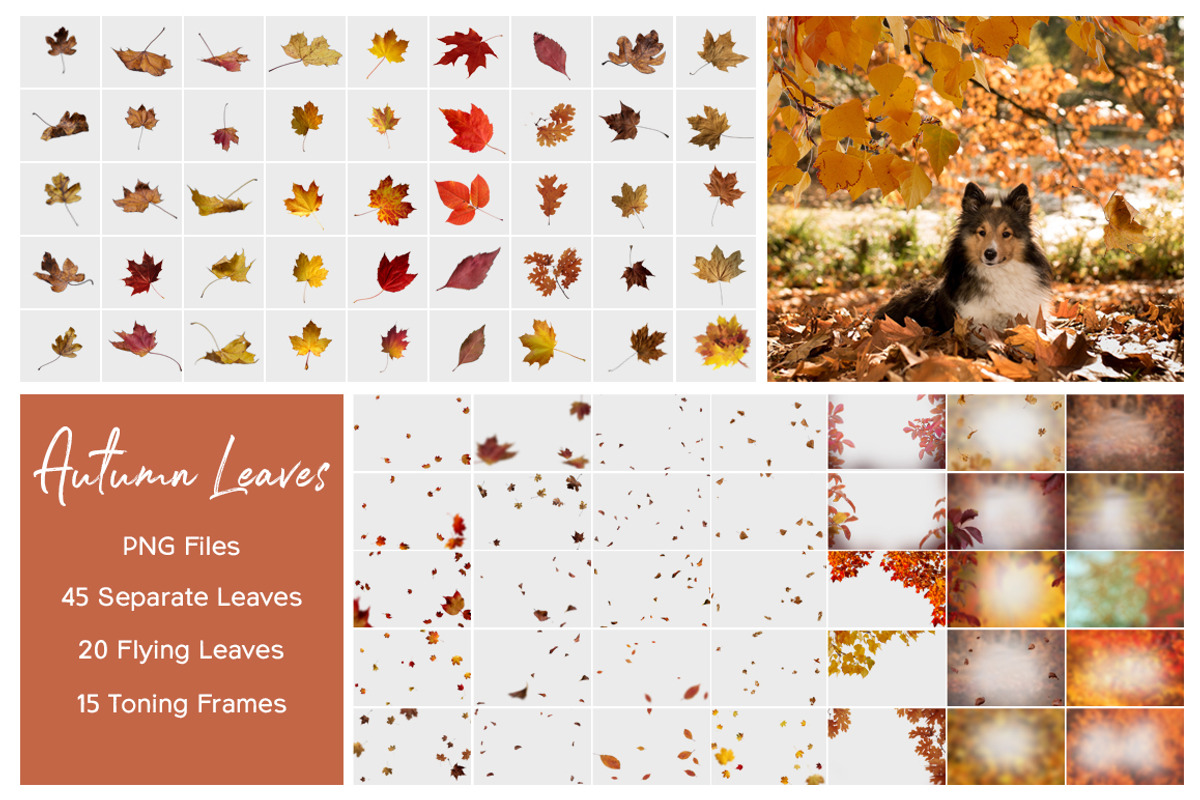Autumn Leaves Overlays preview 2