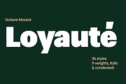 Loyauté, a Sans Serif Font by OceaneM (Thumbnail 1 of 7)