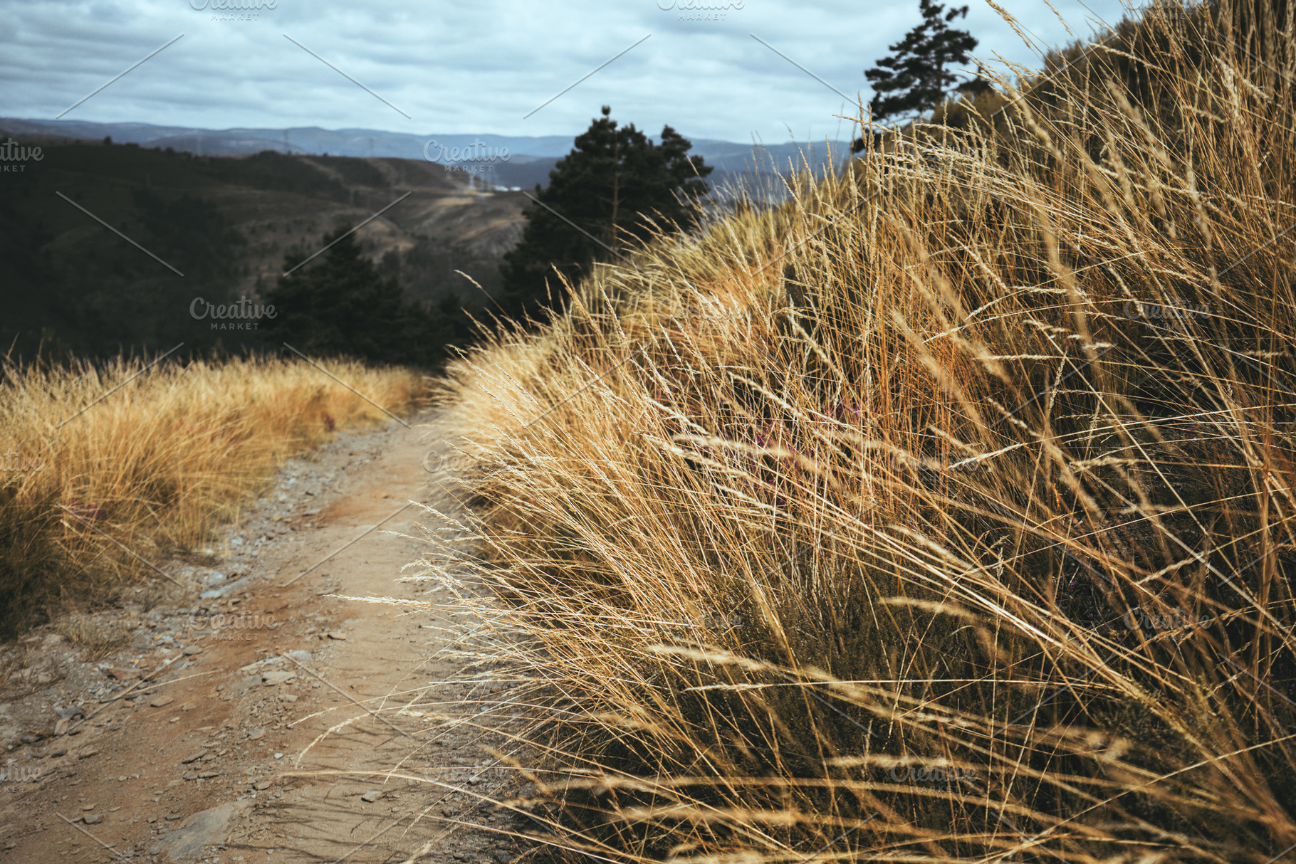 Mountain trail through dry grass, a Nature Photo by SkyNext