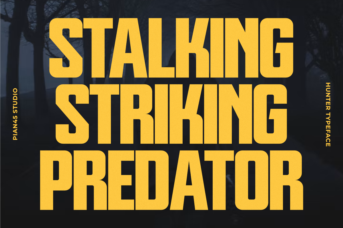 Hunter - Futuristic Sans Display, a Sans Serif Font by Pian45 Studio (Photo 2 of 8)