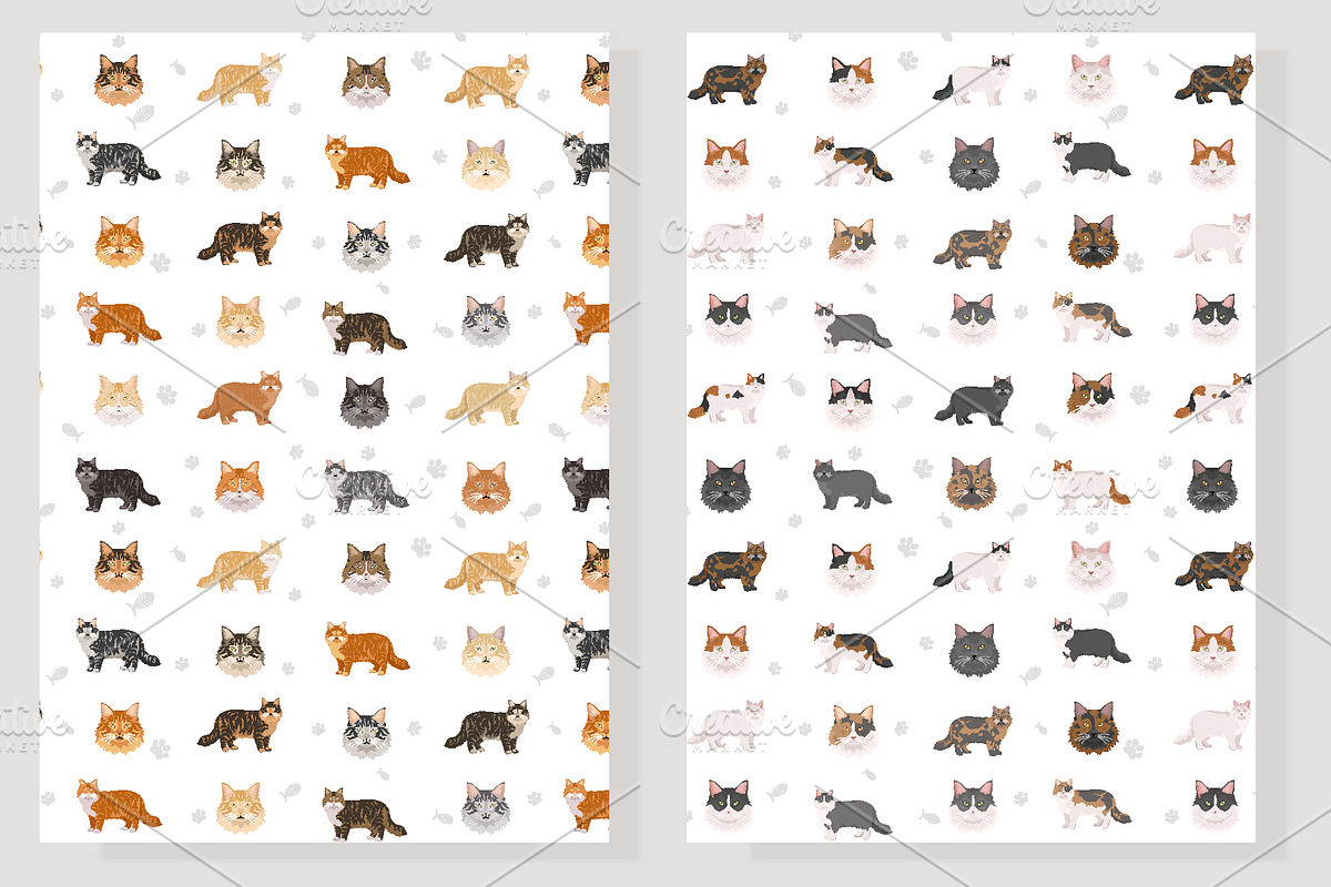 Domestic longhair cat, an Animal Illustration by pet design shop (Photo 6 of 6)